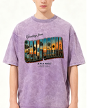 ANANKE California Vintage Wash Tee
